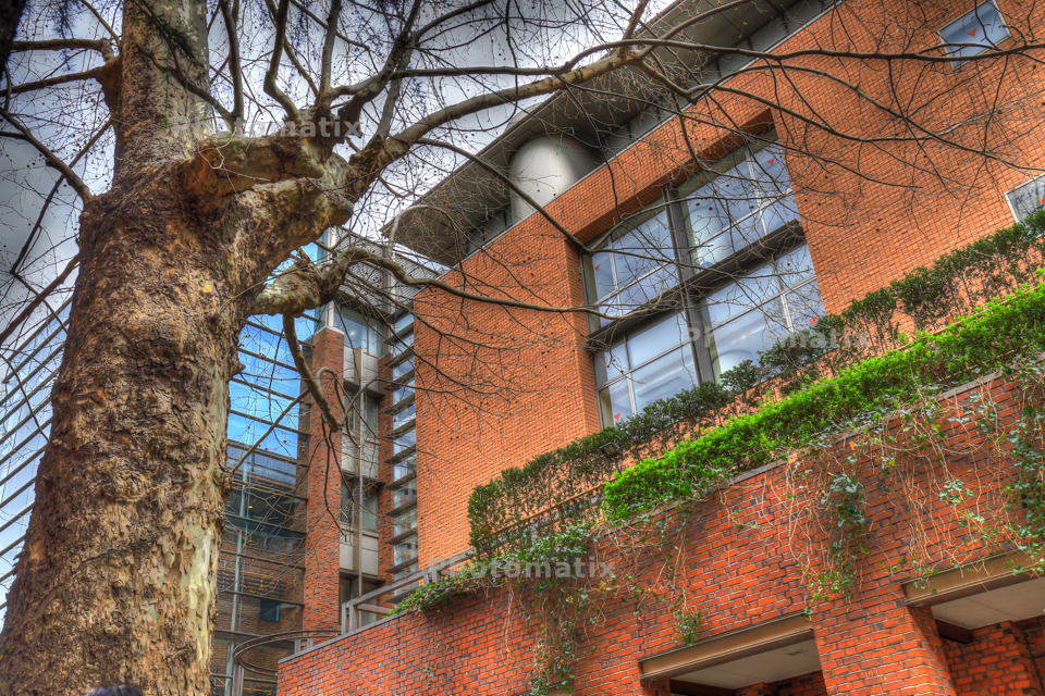 IMG_9913_4_5_tonemapped