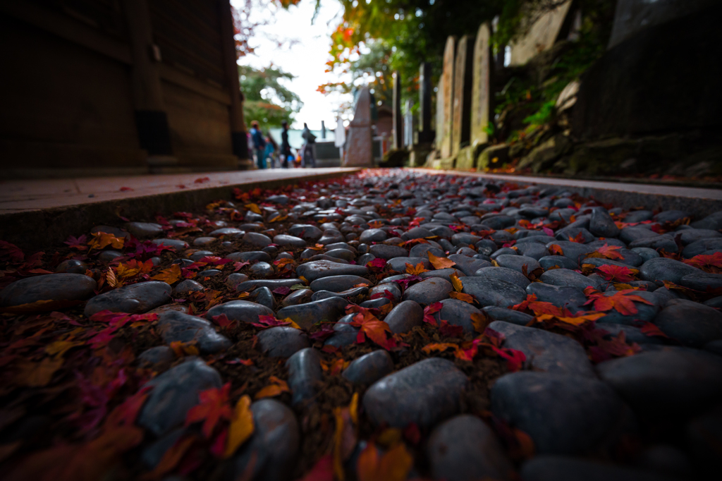 紅路