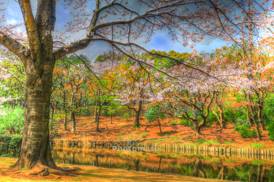 IMG_9747_8_9_tonemapped