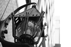 IMG_1516_R