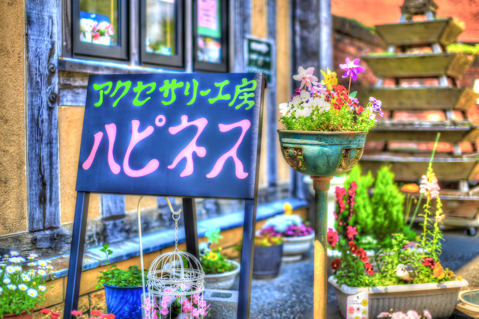 IMG_0099_100_101_tonemapped