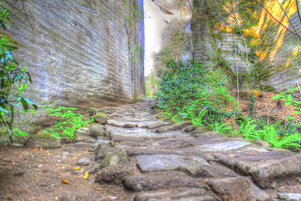 IMG_0240_1_2_tonemapped