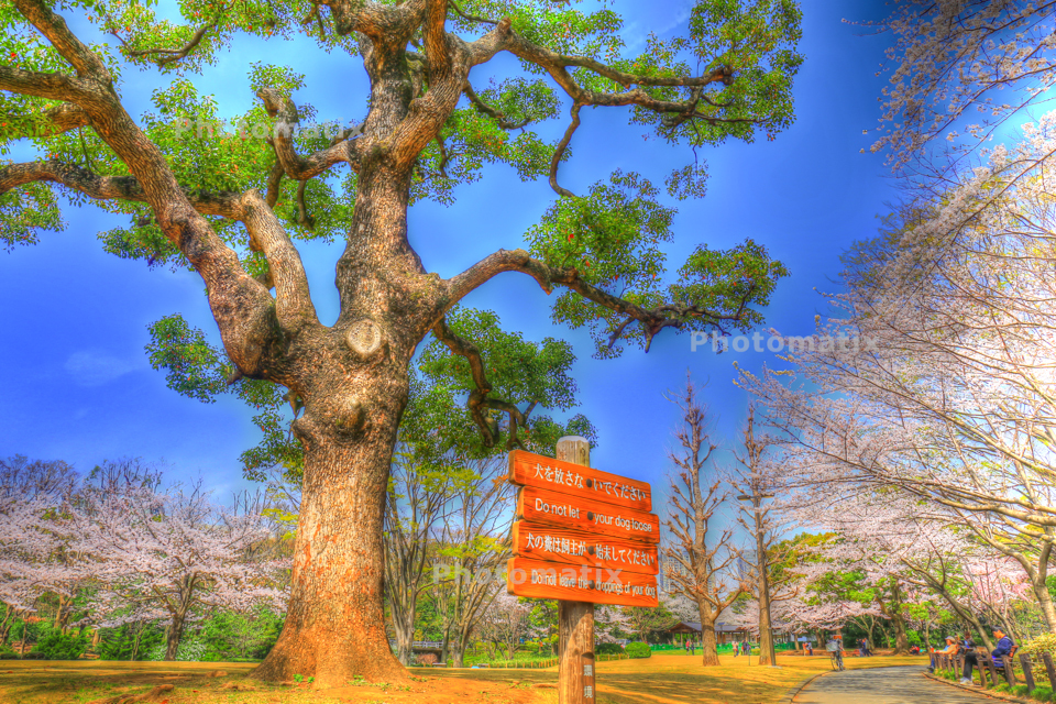 IMG_9753_4_5_tonemapped