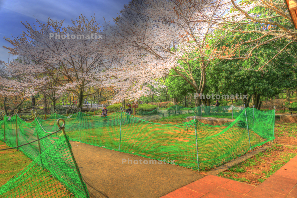 IMG_9710_1_2_tonemapped