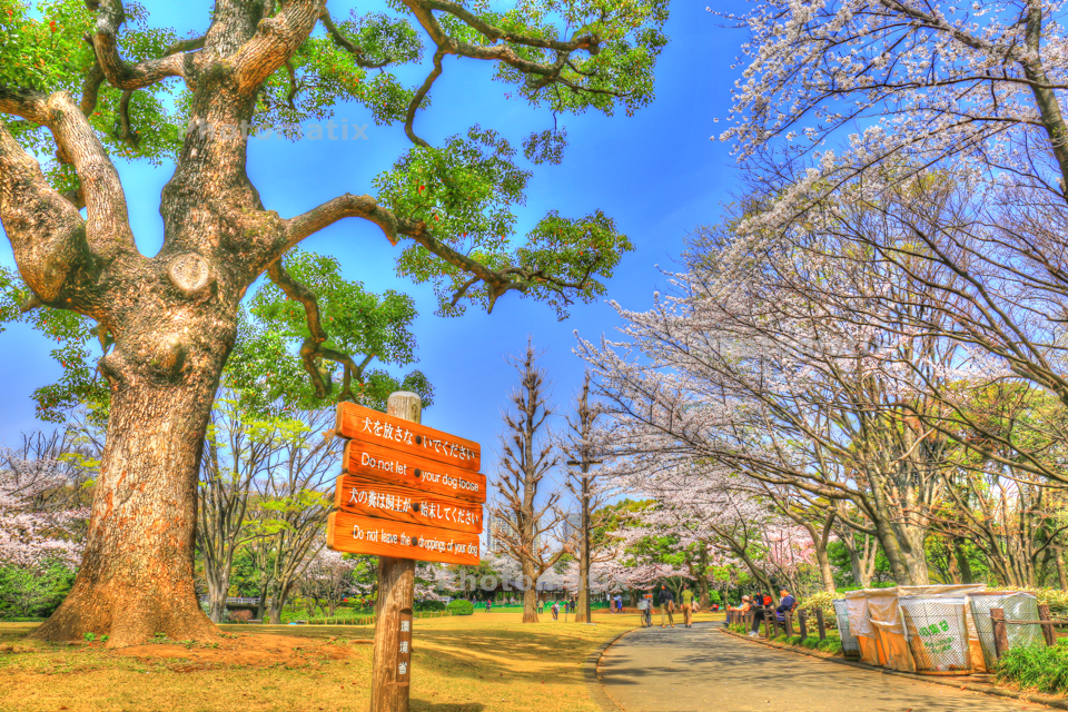 IMG_9756_7_8_tonemapped