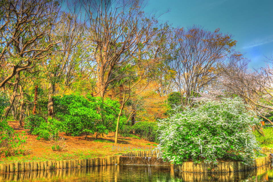 IMG_9740_1_2_tonemapped