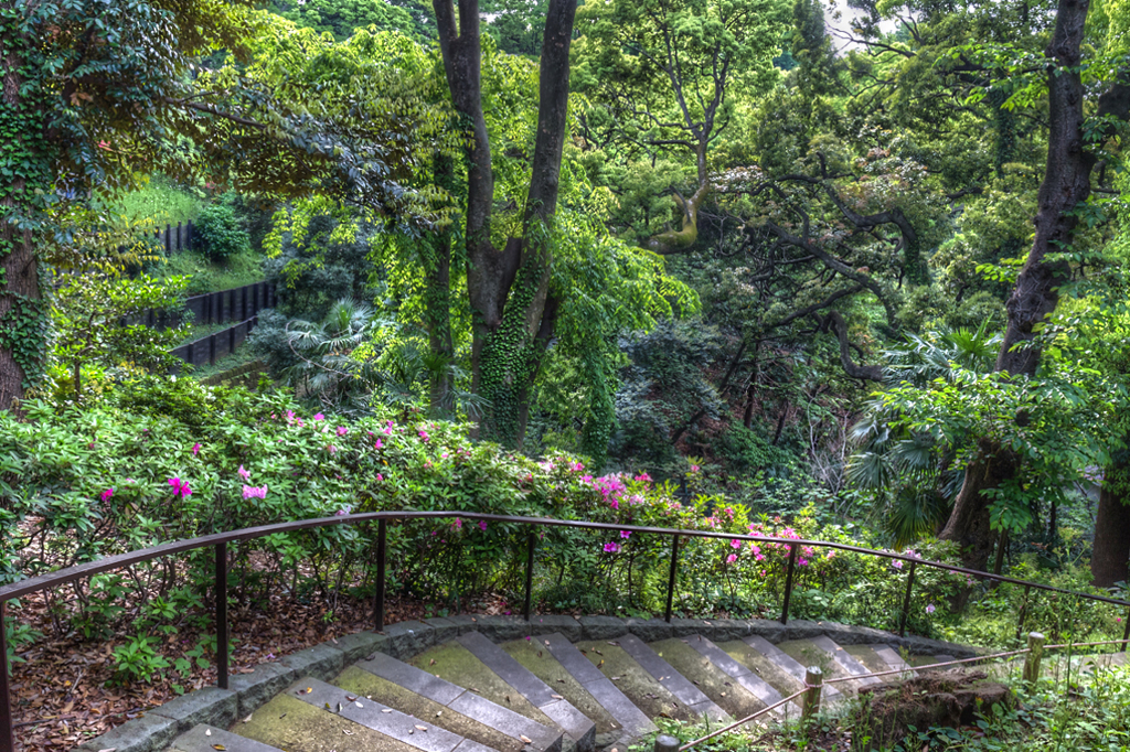IMG_0405_-2_-3_-4_-5_tonemapped