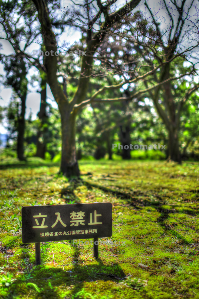 IMG_9788_89_90_tonemapped