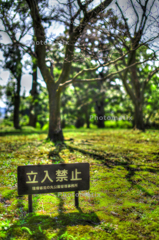 IMG_9788_89_90_tonemapped