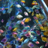 DSC01967