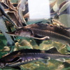 DSC02076