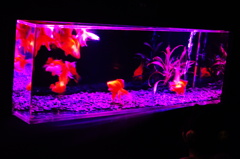DSC01848