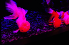 DSC01864