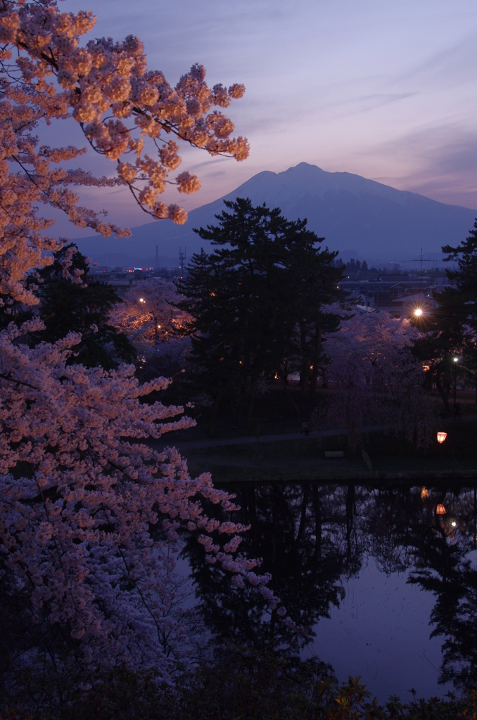 桜と岩木山