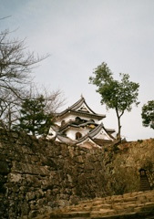 彦根城
