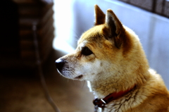 11-28-2013_14