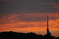 DSC05303