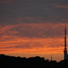 DSC05303