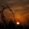 DSC09479