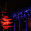 DSC06425