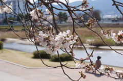 DSC03181