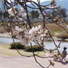 DSC03181