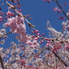 DSC03502