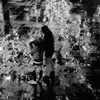 DSC06774
