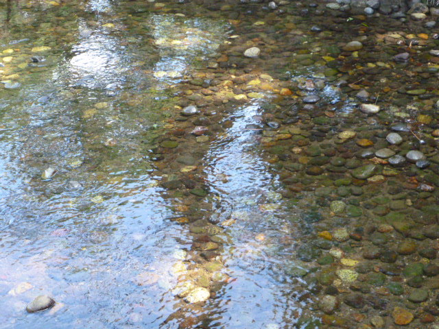 水面