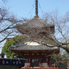 寺だか神社だか