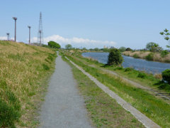 多摩川の道