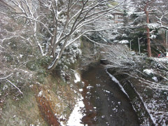 雪の川