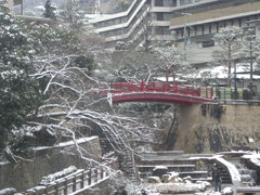 雪と赤い橋