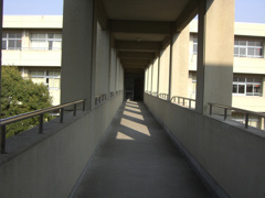 学校の渡り廊下