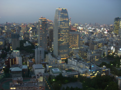 東京タワーから見たビル