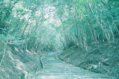 勝尾寺付近