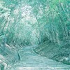 勝尾寺付近