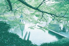勝尾寺