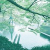 勝尾寺