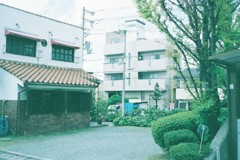 日常スナップ。