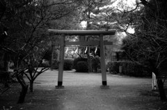 鳥居