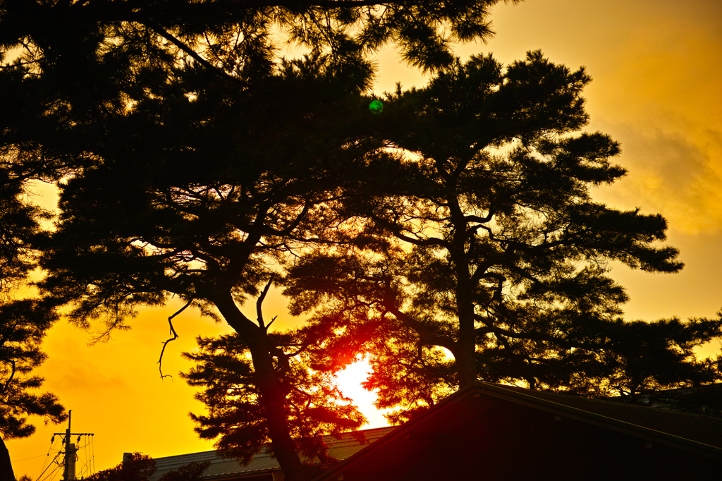 夕焼け