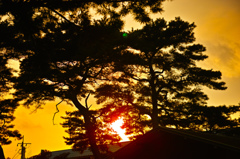 夕焼け
