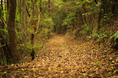 登山道
