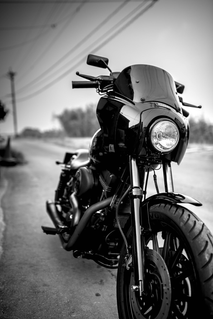 Harley-Davidson