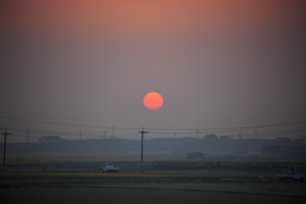 稲刈り時期の日没の風景