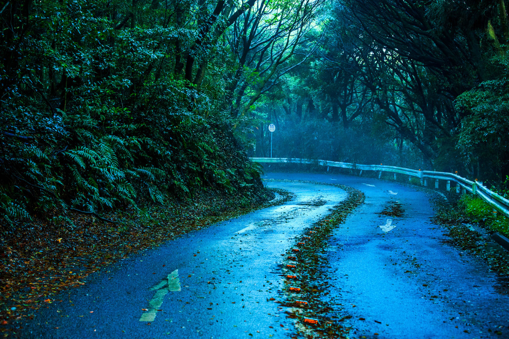 夜明の山道