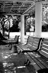 公園