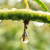 雨上がり