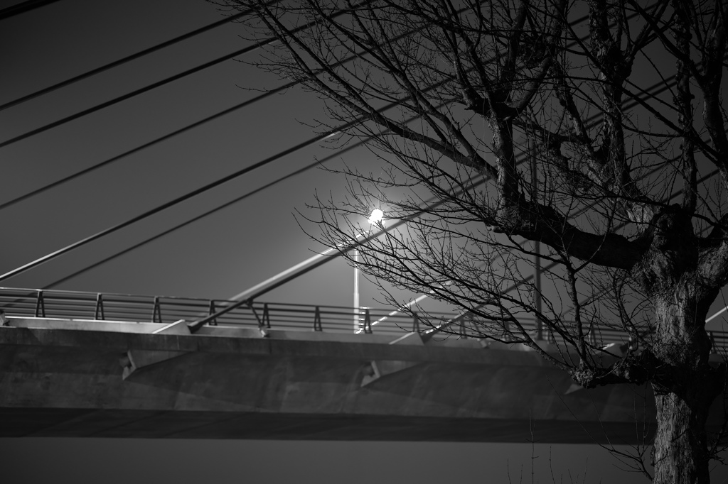 橋